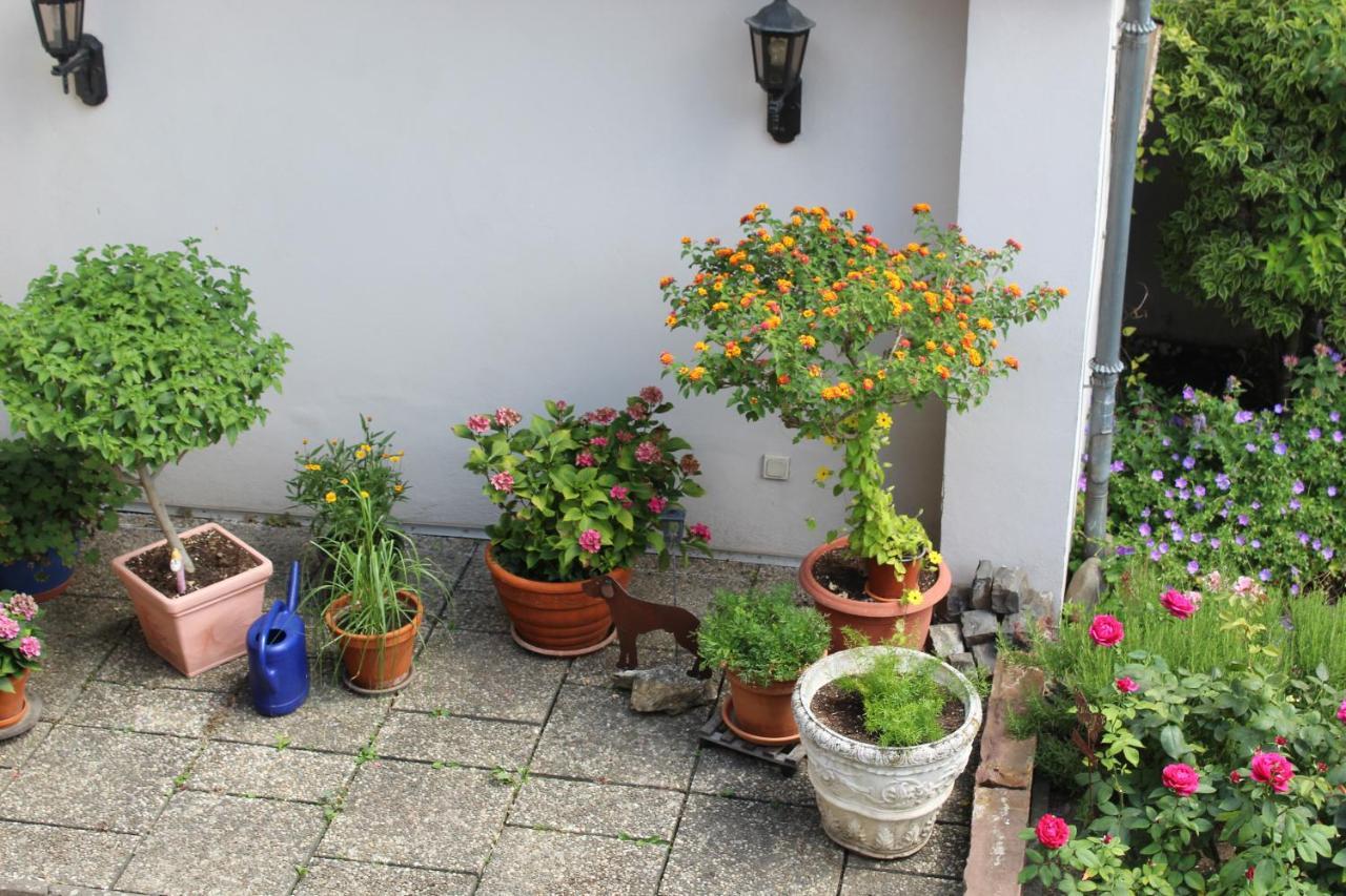 Auszeit Im Rheingau Apartment Eltville am Rhein Exterior foto